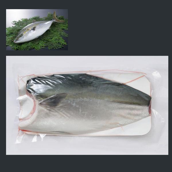 Buri/Hamachi Fillet (Professional use)