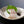 Red Sea Bream Set