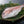 Red Sea Bream Set