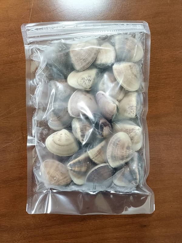 Hamaguri (Delivery scheduled for late April 2026)